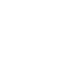 ANT-Logistics